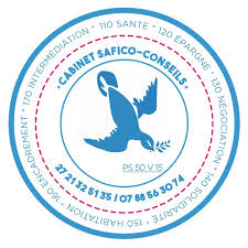 Logo SAFICO CONSEILS